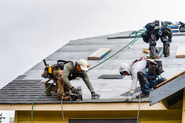 Professional Storm Damage Roof Repair technician working in Milford, KY